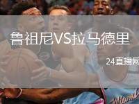 鲁祖尼VS拉马德里